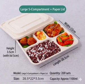 1100ml Large 5-Compartment Sugarcane Bagasse Food Container with Paper Lid
