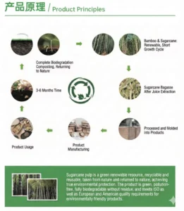 Disposable eco-friendly biodegradable tableware is made from 100% natural sugarcane fiber (bagasse). It is BPI certified, compostable, oil-resistant, and microwave safe. Perfect for restaurants, catering events, and parties. - 100% biodegradable & compostable - PFAS-free (non-toxic) - Microwave safe & freezer safe