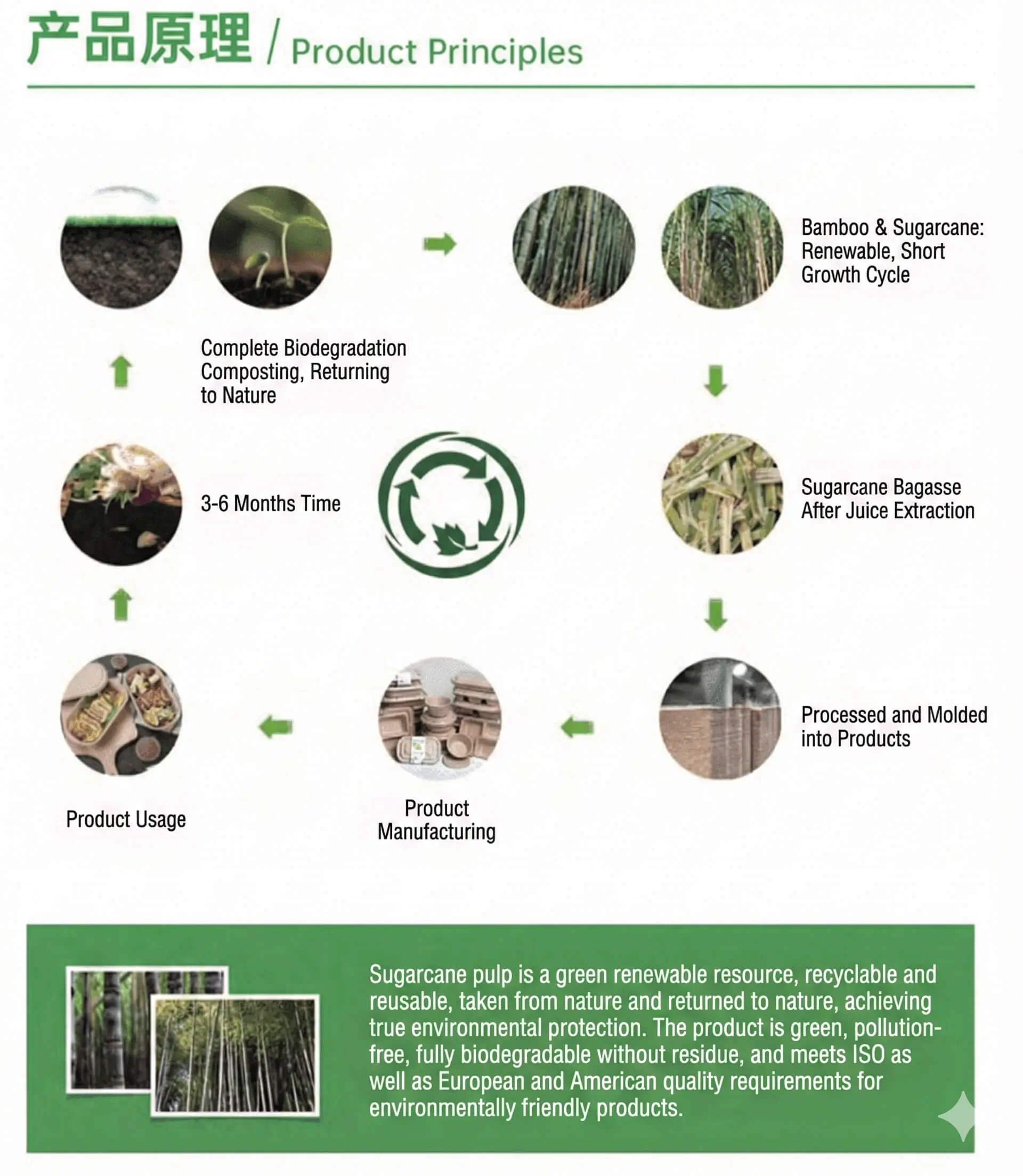 Food Container Presentation