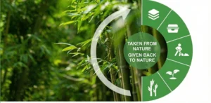 Disposable eco-friendly biodegradable tableware is made from 100% natural sugarcane fiber (bagasse). It is BPI certified, compostable, oil-resistant, and microwave safe. Perfect for restaurants, catering events, and parties. - 100% biodegradable & compostable - PFAS-free (non-toxic) - Microwave safe & freezer safe